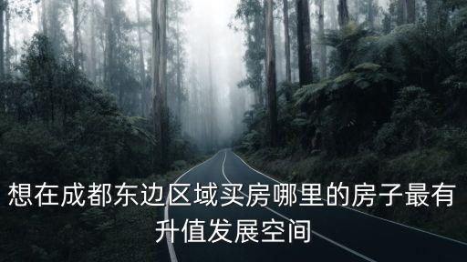 想在成都東邊區(qū)域買房哪里的房子最有升值發(fā)展空間