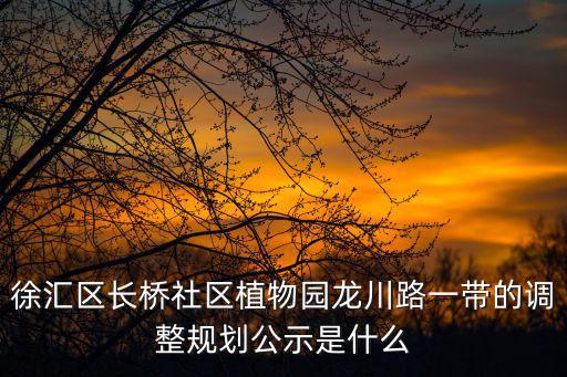 徐匯區(qū)長(zhǎng)橋社區(qū)植物園龍川路一帶的調(diào)整規(guī)劃公示是什么