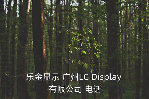 廣州lg富美斯車間圖片，廣州蘿崗LG電子廠那些分廠在招普工去那里啊待遇好點