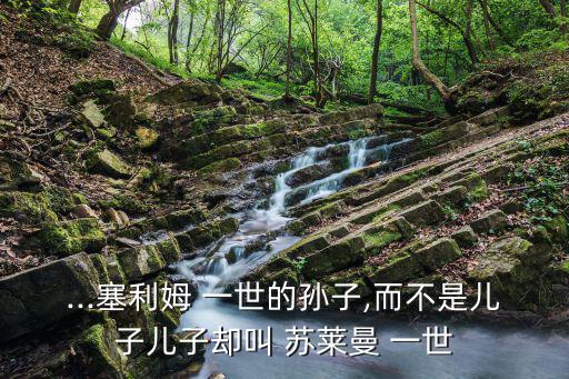 ...塞利姆 一世的孫子,而不是兒子兒子卻叫 蘇萊曼 一世