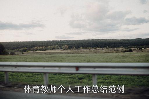體育教師個人工作總結范例