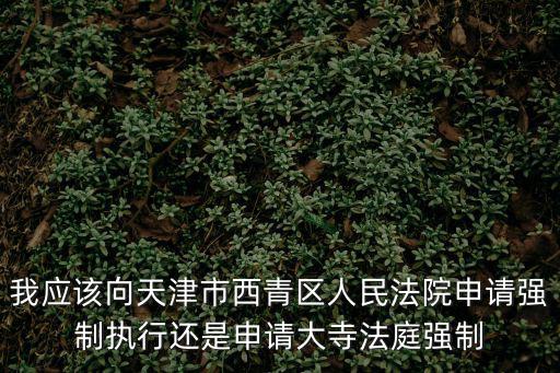 我應該向天津市西青區人民法院申請強制執行還是申請大寺法庭強制