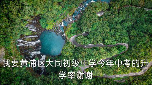 我要黃浦區大同初級中學今年中考的升學率謝謝