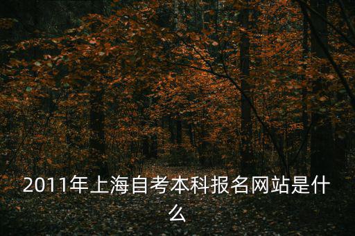2011年上海自考本科報名網站是什么