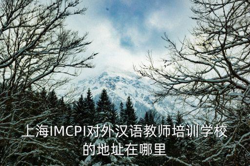 上海IMCPI對外漢語教師培訓學校的地址在哪里