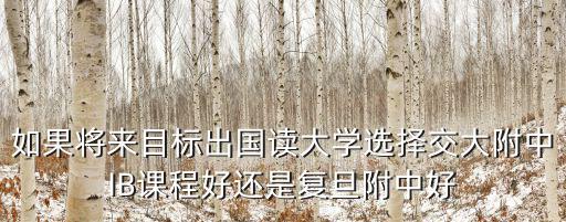 如果將來目標出國讀大學選擇交大附中IB課程好還是復旦附中好