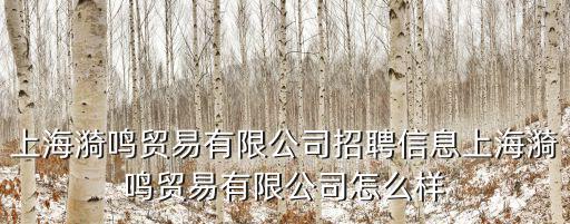 上海漪鳴貿易有限公司招聘信息上海漪鳴貿易有限公司怎么樣