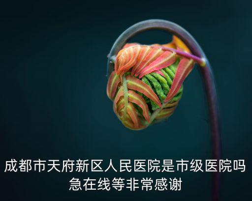 成都市天府新區人民醫院是市級醫院嗎急在線等非常感謝