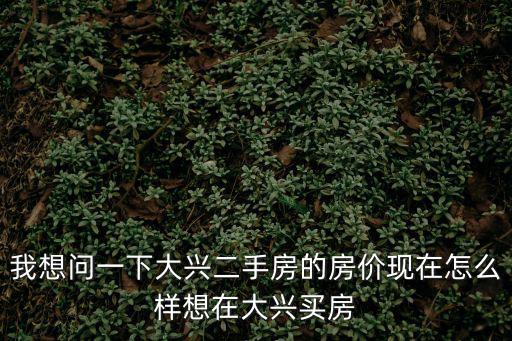 我想問一下大興二手房的房價現在怎么樣想在大興買房