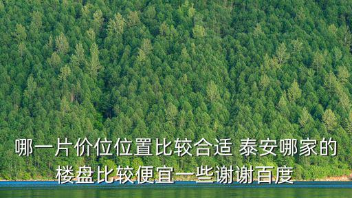 哪一片價位位置比較合適 泰安哪家的樓盤比較便宜一些謝謝百度
