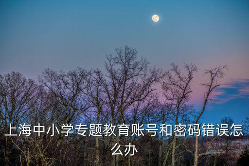 上海中小學專題教育賬號和密碼錯誤怎么辦
