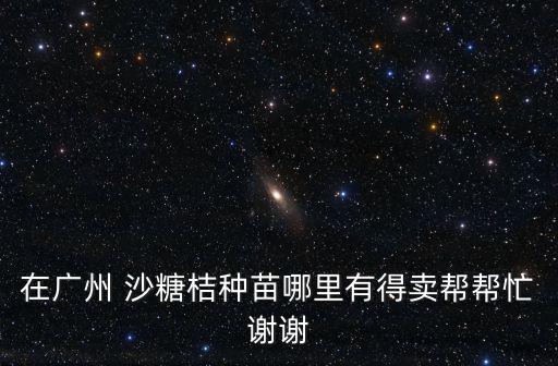 廣州番茄苗批發，廣州哪里有賣苗采的