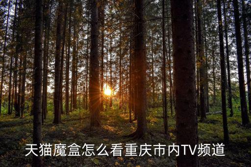 天貓魔盒怎么看重慶市內TV頻道