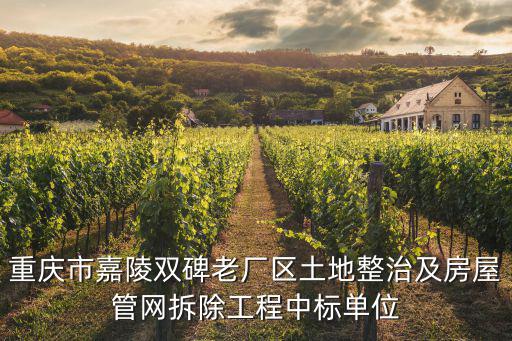 重慶市嘉陵雙碑老廠區土地整治及房屋管網拆除工程中標單位