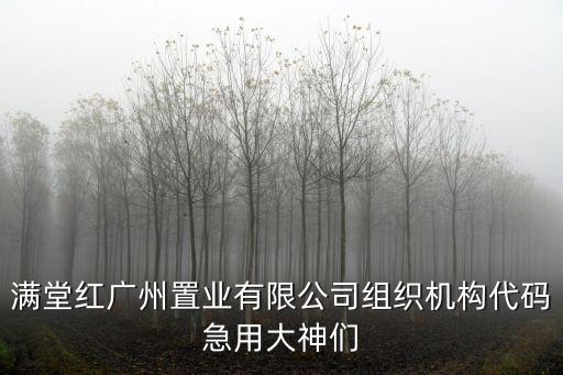 滿堂紅廣州置業有限公司組織機構代碼急用大神們