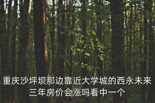 重慶沙坪壩那邊靠近大學城的西永未來三年房價會漲嗎看中一個