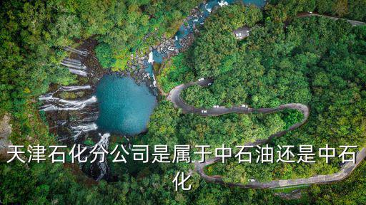 天津石化分公司是屬于中石油還是中石化