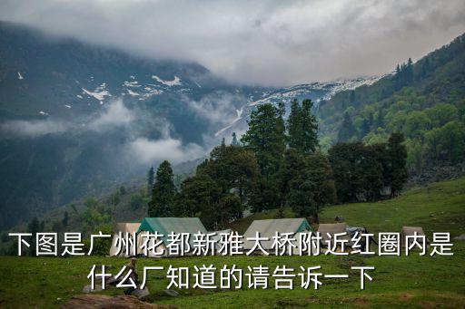 下圖是廣州花都新雅大橋附近紅圈內是什么廠知道的請告訴一下