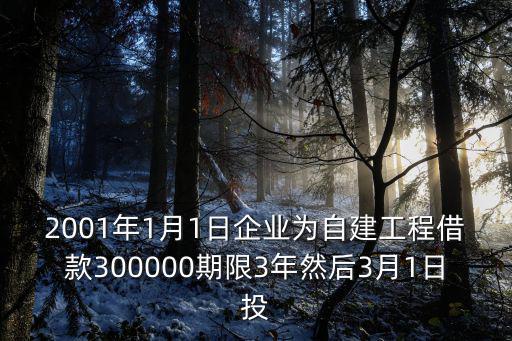 2001年1月1日企業(yè)為自建工程借款300000期限3年然后3月1日投