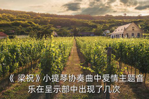 梁祝樓臺會,第二集:中國版《梁祝》小提琴獨奏