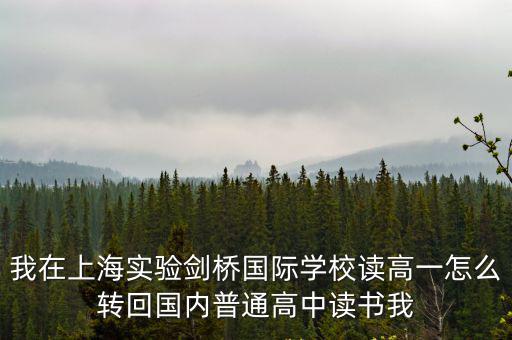 我在上海實驗劍橋國際學(xué)校讀高一怎么轉(zhuǎn)回國內(nèi)普通高中讀書我