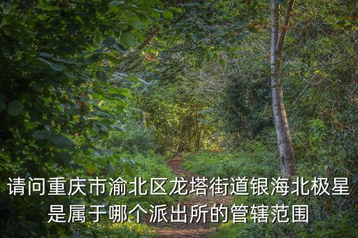 重慶市渝北區派出所童所長，請問重慶市渝北區龍塔街道銀海北極星是屬于哪個派出所的管轄范圍