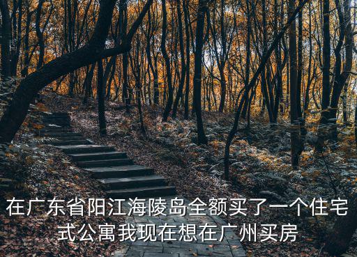 在廣東省陽江海陵島全額買了一個住宅式公寓我現(xiàn)在想在廣州買房