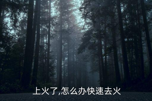  上火了,怎么辦快速去火