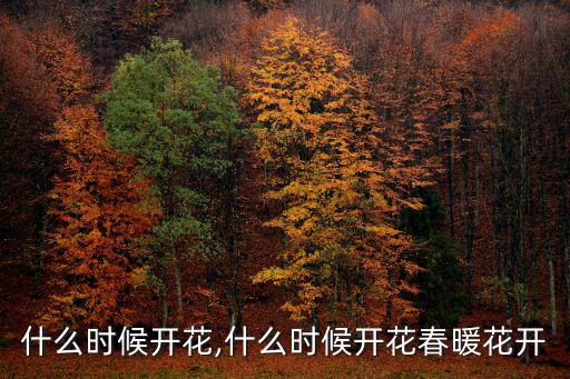 櫻花什么時候開花,什么時候開花?春暖花開