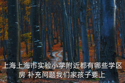 上海市實驗小學王如，上海上海市實驗小學附近都有哪些學區房 補充問題我們家孩子要上