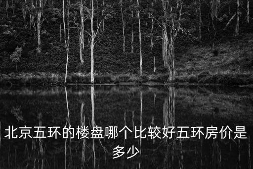 北京五環(huán)的樓盤哪個比較好五環(huán)房價是多少