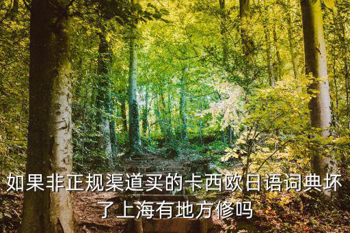 如果非正規渠道買的卡西歐日語詞典壞了上海有地方修嗎