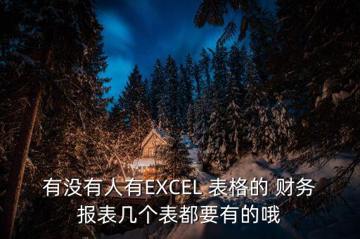 有沒有人有EXCEL 表格的 財務報表幾個表都要有的哦