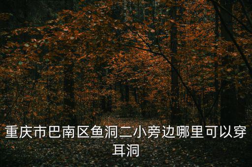 重慶市巴南區魚洞二小招生范圍，請問重慶市巴南區魚洞二小2009年期末考試是6月多少號