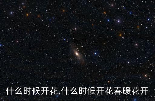 什么時候開花,什么時候開花春暖花開
