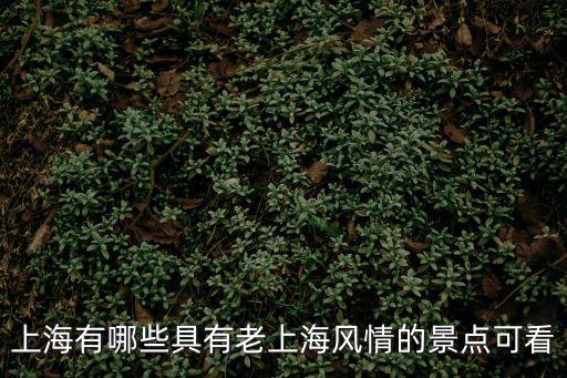 老上海步行街景點，上海有那些小景點或者步行街呢