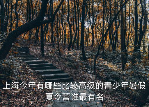 2019年暑期小學生上海市公益活動，上海今年有哪些比較高級的青少年暑假夏令營誰最有名