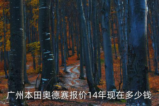廣州市本田 奧德賽，廣州本田奧德賽商務車