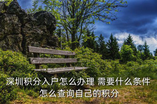 深圳上學怎么查積分，深圳積分入戶查詢進度怎么查