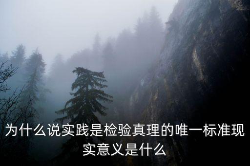 為什么說實踐是檢驗真理的唯一標準現(xiàn)實意義是什么