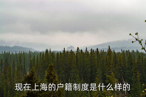 現在上海的戶籍制度是什么樣的