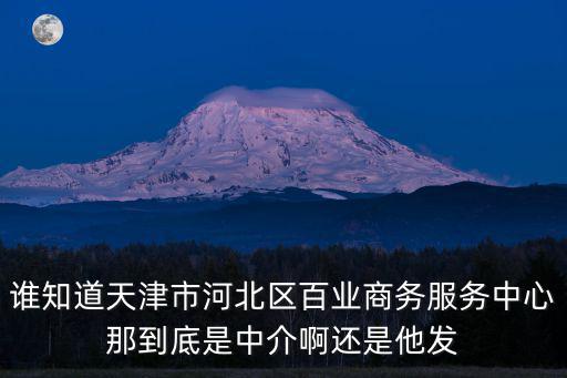 誰知道天津市河北區百業商務服務中心那到底是中介啊還是他發
