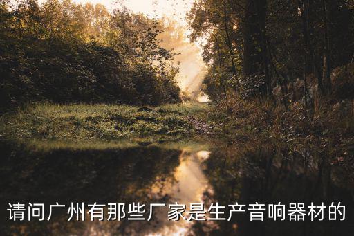 請問廣州有那些廠家是生產音響器材的
