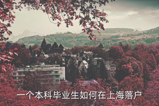 一個本科畢業(yè)生如何在上海落戶