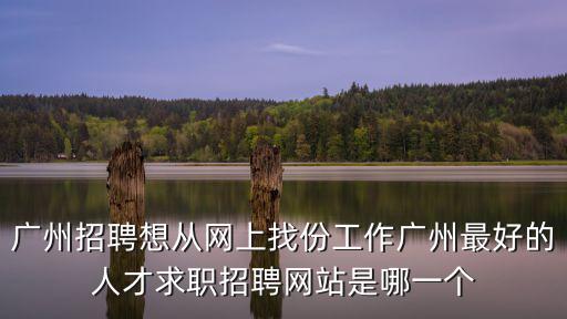 廣州招聘想從網(wǎng)上找份工作廣州最好的人才求職招聘網(wǎng)站是哪一個