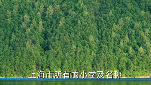 上海市所有的小學(xué)及名稱