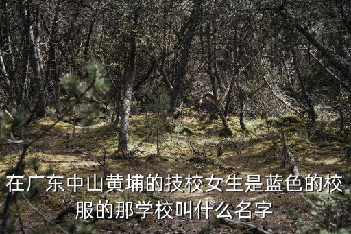 在廣東中山黃埔的技校女生是藍色的校服的那學校叫什么名字