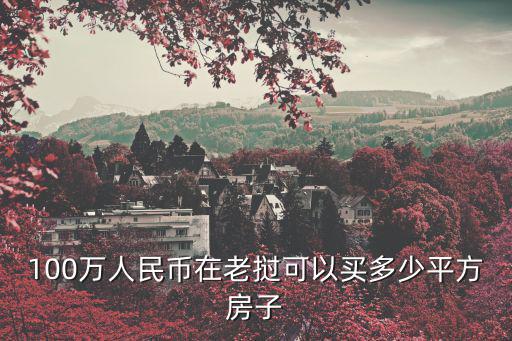 100萬人民幣在老撾可以買多少平方房子