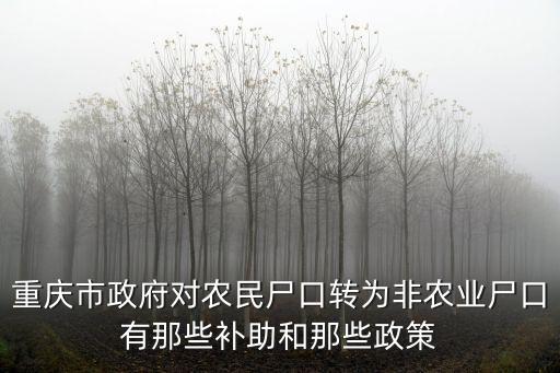 重慶市政府對農民尸口轉為非農業尸口有那些補助和那些政策