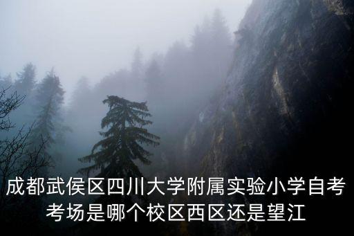 成都武侯區四川大學附屬實驗小學自考考場是哪個校區西區還是望江